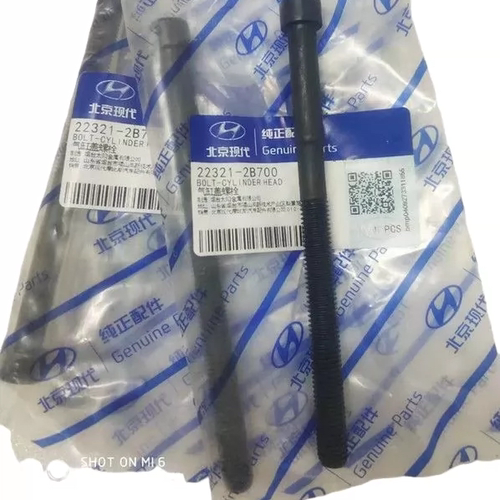 现代伊兰特悦动瑞纳朗动缸盖螺丝