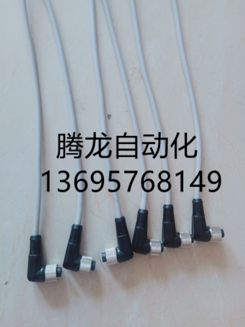 双头电缆 EBC-D12G4-ES-0.5-S-D12G4-ET /1/3/5/10