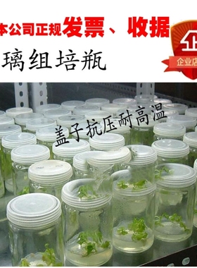 批发玻璃瓶350ml组培瓶240ml组培瓶菌瓶虫草育苗瓶组织培养瓶透气