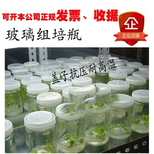 批发玻璃瓶350ml组培瓶