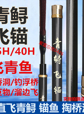 40H飞青鱼竿黑坑大棚锚鱼竿掏桥洞溜边暴力狂飞大物青草鲟钓浮桥