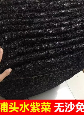 福建霞浦头水紫菜干货特级无沙免洗散装商用大片一级优质高端即食