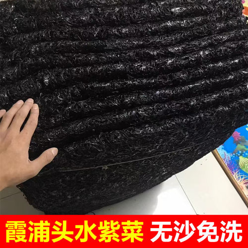 霞浦头水紫菜干货500g克特级无沙