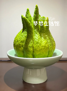 佛手柑托盘陶瓷花瓶插花禅意新中式复古底托高脚花器香橼葫芦底座