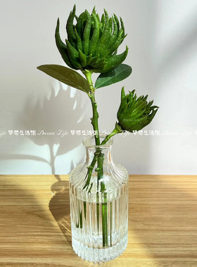 玻璃花瓶复古迷你ins风桌面摆件