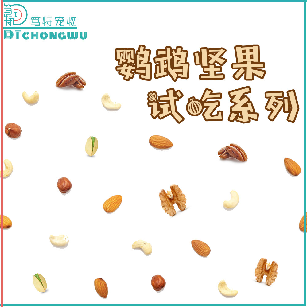 笃特宠物鹦鹉坚果零食试吃图片
