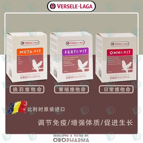 凡赛尔水溶鹦鹉换羽日常鸟类繁殖