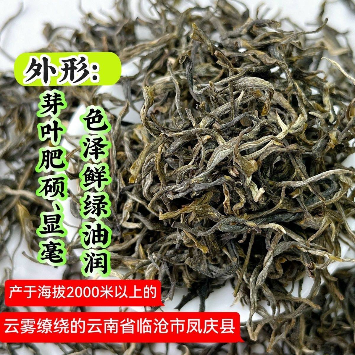 滇绿茶新茶春茶明前茶云南凤庆大叶种高山高香烘青绿茶清仓芽尖茶