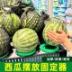 西瓜固定圈放西瓜圈水果店防滑垫塑料圈陈列摆放垫圈底座托圈篮球