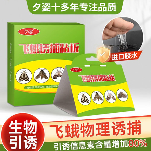 诱捕器粘除衣蛾灭杀飞蛾