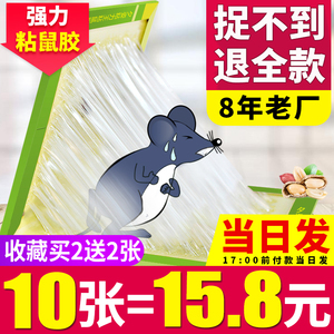 【夕姿】灭鼠神器强力粘鼠板10张