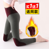 棉毛线裤 秋裤 大码 紧身高腰纯棉加厚衬裤 女内穿护膝护腰加绒保暖裤