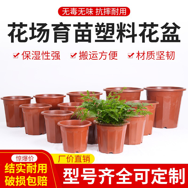 园艺塑料花盆实用硬质塑料育苗盆圆形多肉种植盆绿植花盆砖红色盆