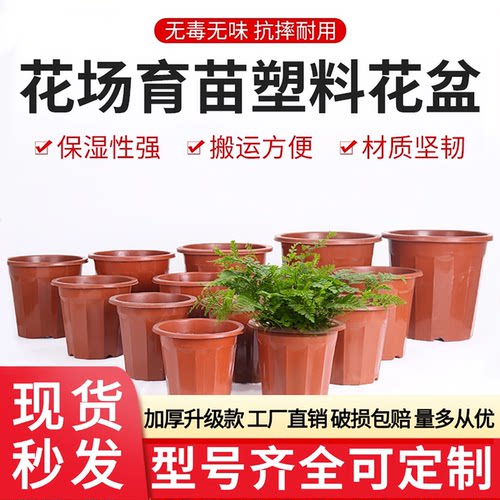 加厚耐用透气速排塑料育苗花盆