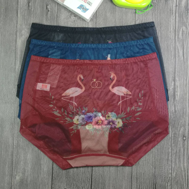 富妮来网纱女速干中腰性感平角薄