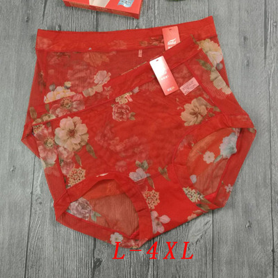 富妮来网纱女士性感平角高腰大码