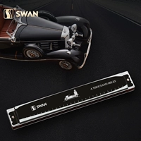 Swan Harmonica 28 lỗ đa âm bắt đầu dành cho người lớn nâng cao giọng chuyên nghiệp C điều chỉnh trò chơi chơi nhạc cụ nam và nữ - Nhạc cụ phương Tây kèn saxophone soprano