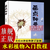 介疾40种植物种子案例 画点种子 水彩绘画技法教程成人初学者零基础水彩画植物技法临摹画集画册果实叶子种子花卉书籍 旗舰正版
