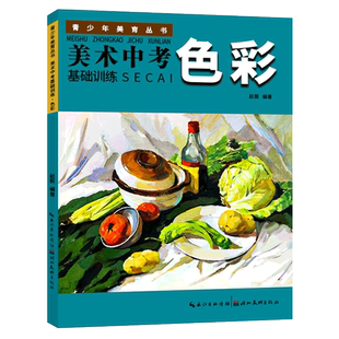 【旗舰正版】美术中考基础训练：色彩 青少年美育丛书 成人初学者入门到精通零基础自学绘画技法 画静物素描速写结构范画临摹书籍