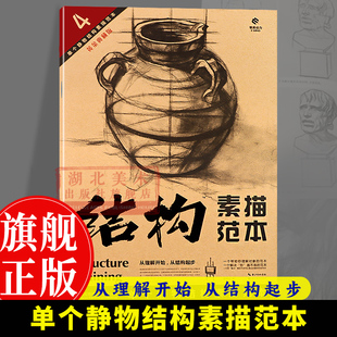 4单个静物结构素描范本 结构素描范本黄金典藏版 旗舰正版 技法结构联考校考临摹绘画初学入门教程教材素描速写书美术绘画图书籍