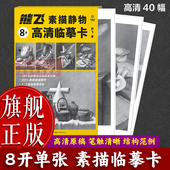 收录40幅近距离临摹卡片结构明暗照片范画画册画集书籍 成人初学者素描速写绘画技法 旗舰正版 熊飞素描静物8开单张高清临摹卡
