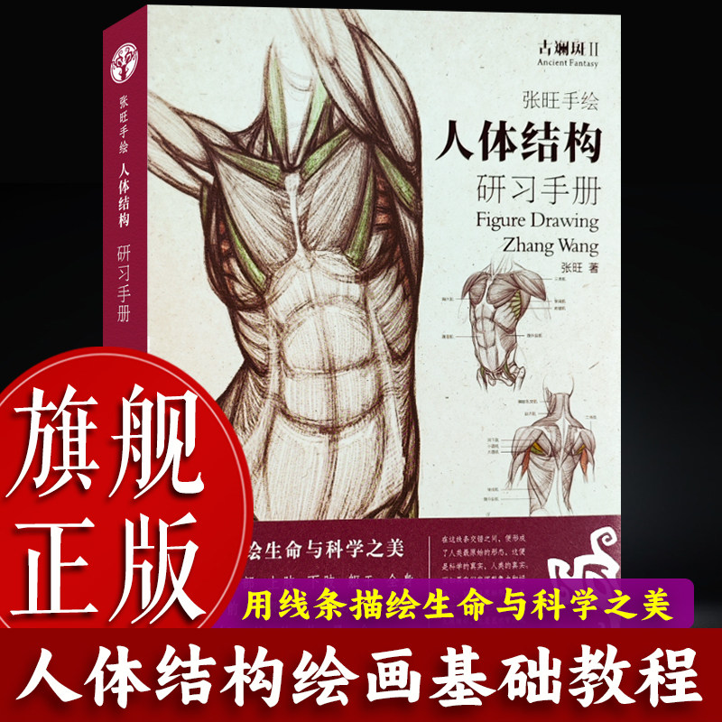 【旗舰正版】张旺手绘人体结构研习手册 古斓斑最手绘 人物速写绘画入门人体画五官头像基础画册临摹书透视技法解剖动态自学图书籍,书籍/杂志/报纸,绘画（新）,淘宝优惠券,粉丝福利购,淘宝优惠卷
