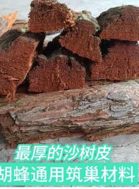杉木树皮马蜂筑巢材料很厚胡蜂黄脚筑巢红娘黑盾杉树皮5斤筑巢快