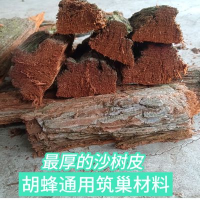 杉木树皮马蜂筑巢材料很厚胡蜂黄脚筑巢红娘黑盾杉树皮5斤筑巢快