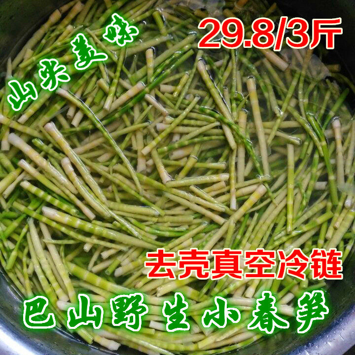 四川野外小竹笋水竹笋春笋 毛竹笋 野味去壳抽真空包邮