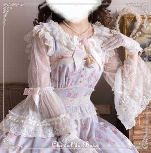 Bois 天鹅古董 全蕾丝姬袖 汇总 衬衣 Cheval