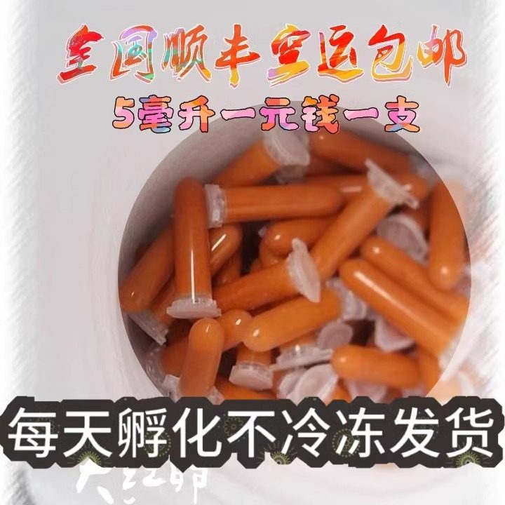 新疆西藏全国顺丰空运丰年虾卵幼虫免孵化卤幼冷冻鱼饲料鱼苗开口,宠物/宠物食品及用品,观赏鱼饲料,淘宝优惠券,粉丝福利购,淘宝优惠卷
