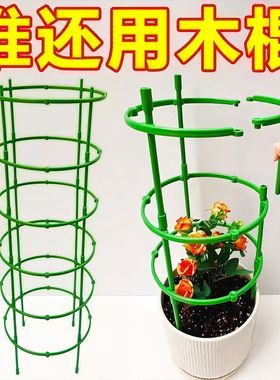 花架子室内家用支架通用型蟹爪兰花架莲花护叶架园艺盆栽支撑杆