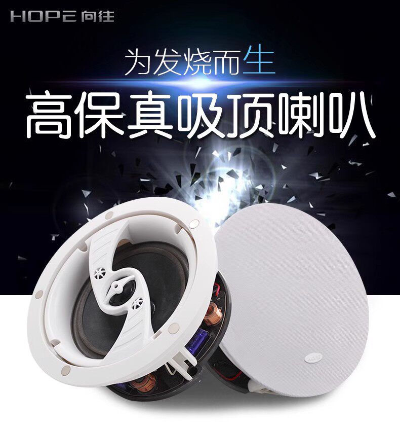 HOPE向往b750吸顶音响吊顶音箱天花喇叭背景音乐主机定阻家庭家用