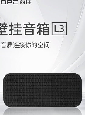 壁挂式音响背景音乐音箱大功率