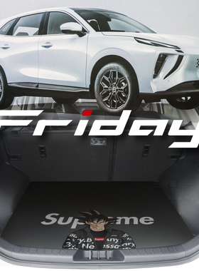 2025款风行friday后备箱垫dongfeng forthing friday ev 专用定制