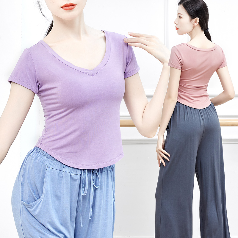 纯欲风舞蹈练功服装百搭V领上衣