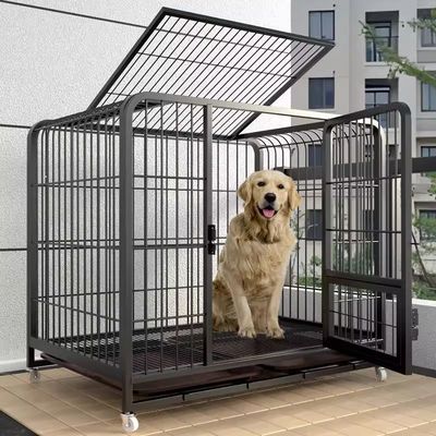 狗笼子小型犬大带厕所中