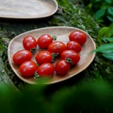 Bushcraft Outdoor Camp Acacia Steak Steak Steak Fruit Fruit Series Series