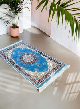 一件代发3d印花65X120仿冰丝地毯欧式波斯印花客厅卧室地垫地毯