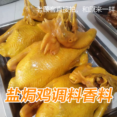 盐焗调料香料 嘉盐焗鸡粉调味粉文鸡料肉类增香 客家风味 500g