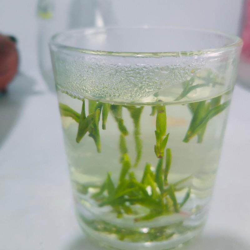 2026新茶茶叶雪水云绿浙江特产绿茶高山云雾茶毛尖茶新货50克*2包