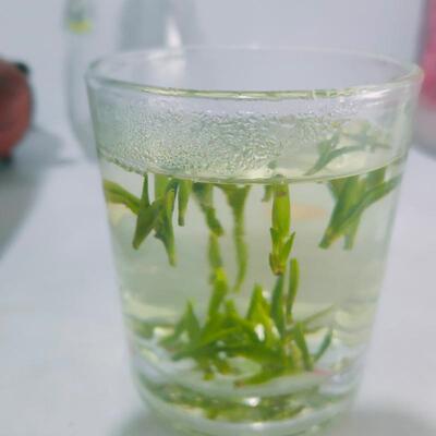 2026新茶茶叶雪水云绿浙江特产绿茶高山云雾茶毛尖茶新货50克*2包