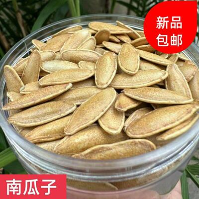 新货大颗粒南瓜子巴郎美人甲南瓜籽炒货零食黄金甲原味500克袋装