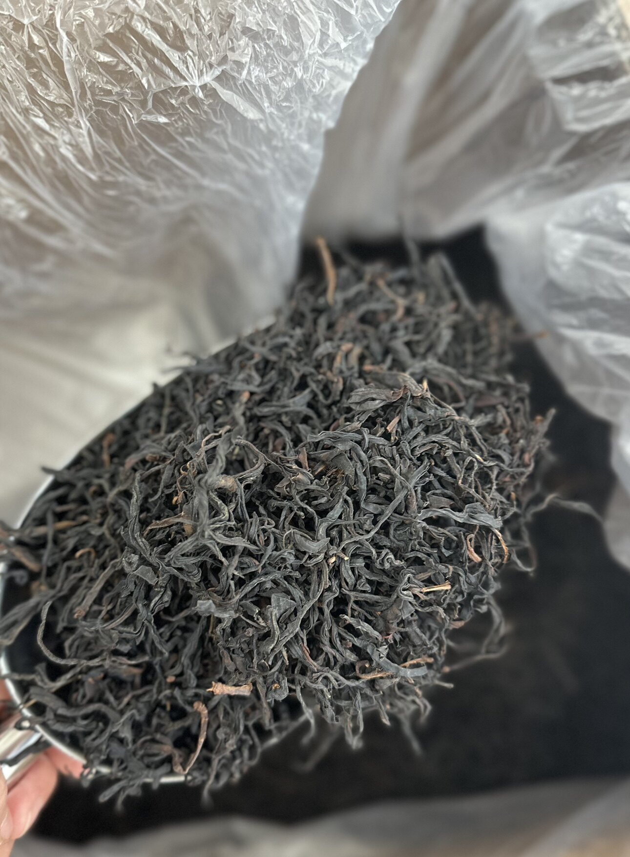 云南古树红茶生晒250克