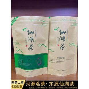 茶农茶园直销河源仙湖茶2025明前春茶特级上莞春茶绿茶叶高山茶叶