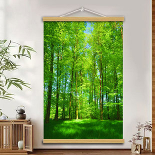 森林海报墙贴大自然绿色护眼门贴风景画装饰挂画树木草地树林海报