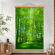 森林海报墙贴大自然绿色护眼门贴风景画装 饰挂画树木草地树林海报
