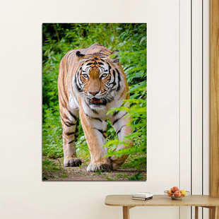 老虎图动物海报客厅过道玄关装饰画虎虎生威生肖图猛虎墙贴画竖版