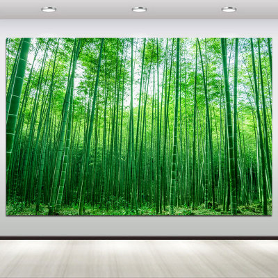 绿色书房是壁画欧零护眼简约现代