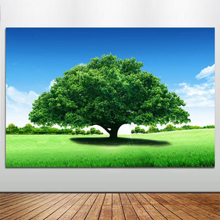 绿色大榕树现代四季客厅装饰画一颗大树大自然风景壁画墙贴画绿树